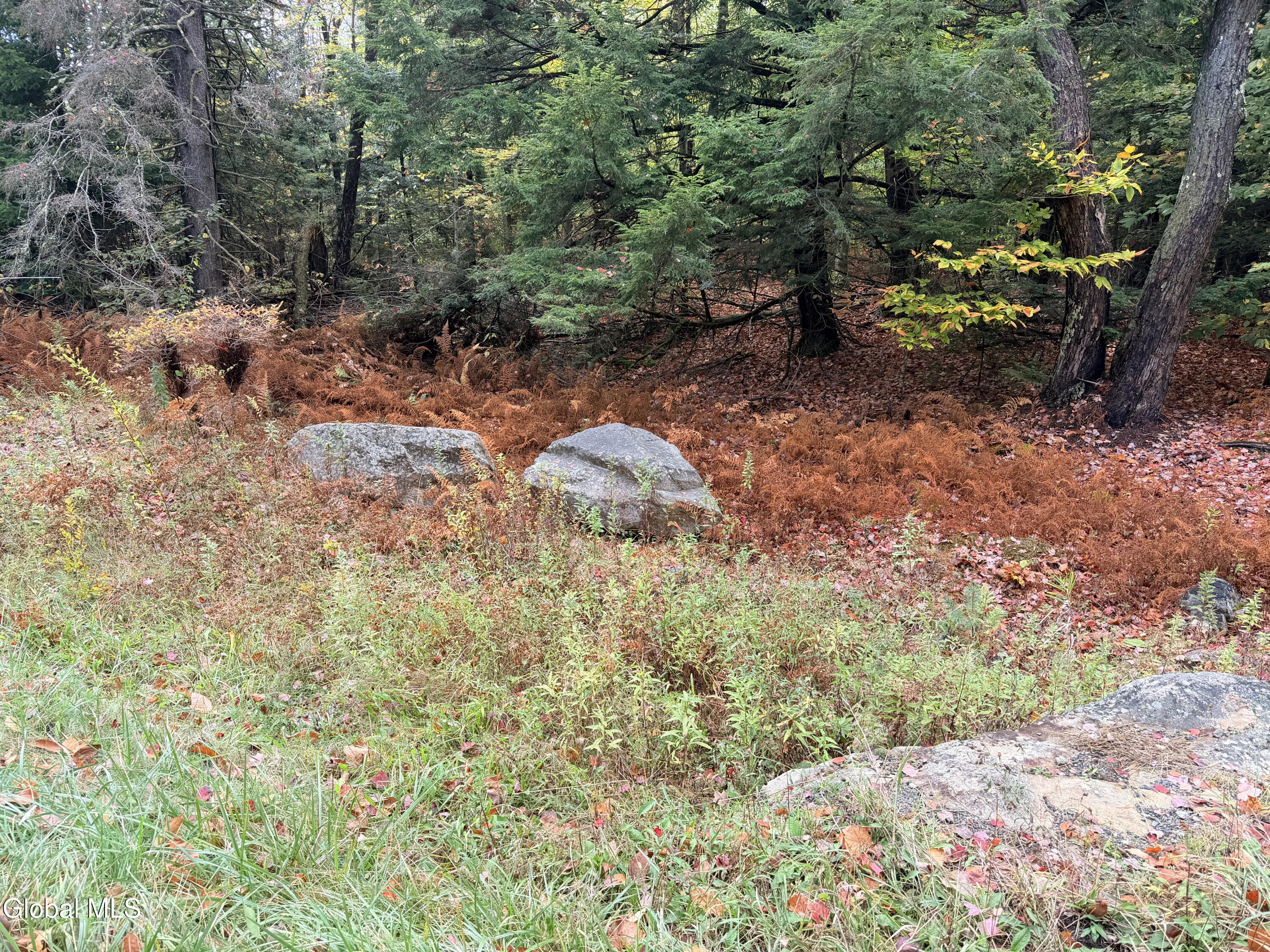 L25.12 Taconic Lake Road Petersburg, NY 12138 - Photo 24 of 60 IMG_0483 2