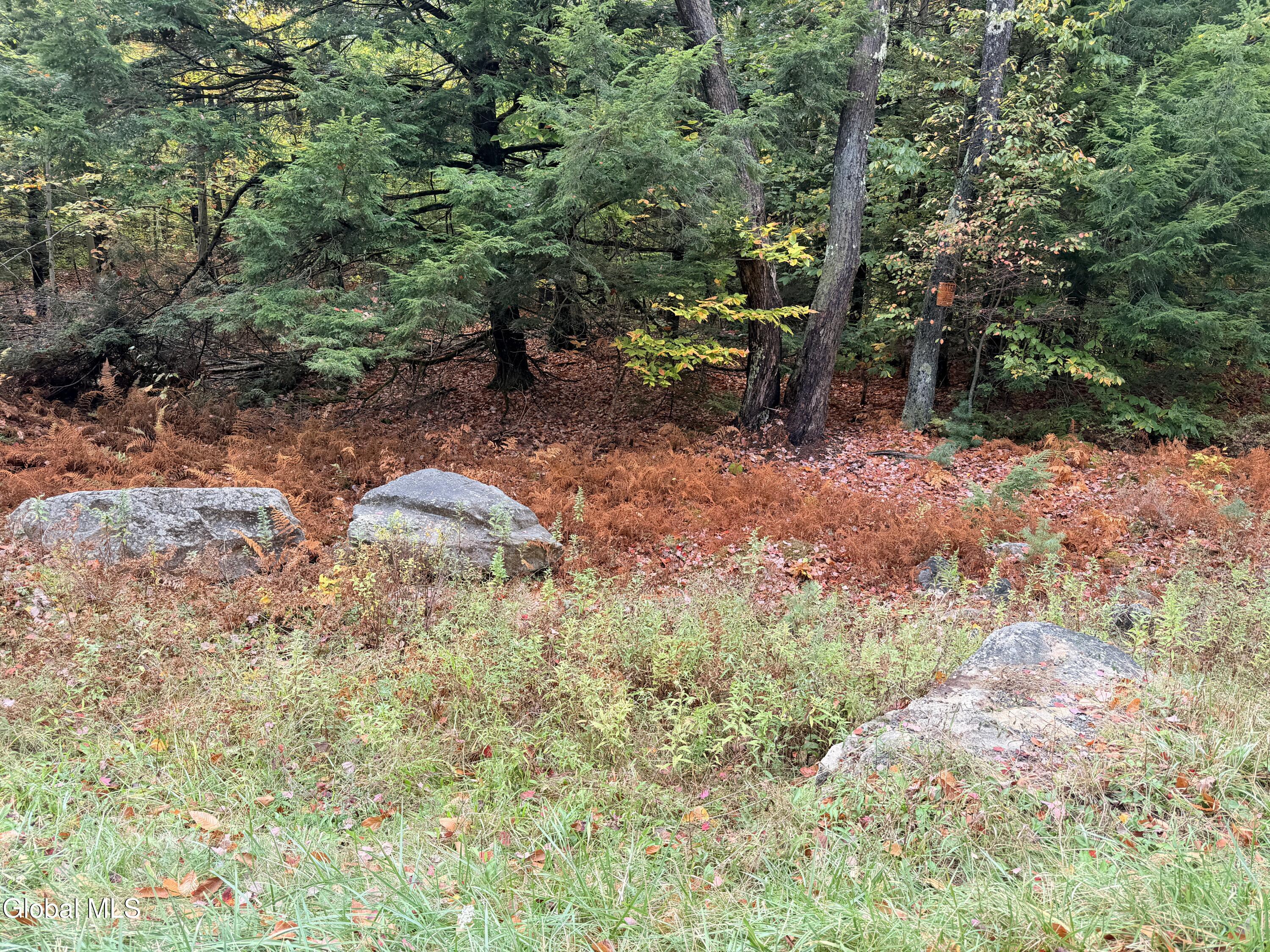 L25.12 Taconic Lake Road Petersburg, NY 12138 - Photo 25 of 60 IMG_0482 2