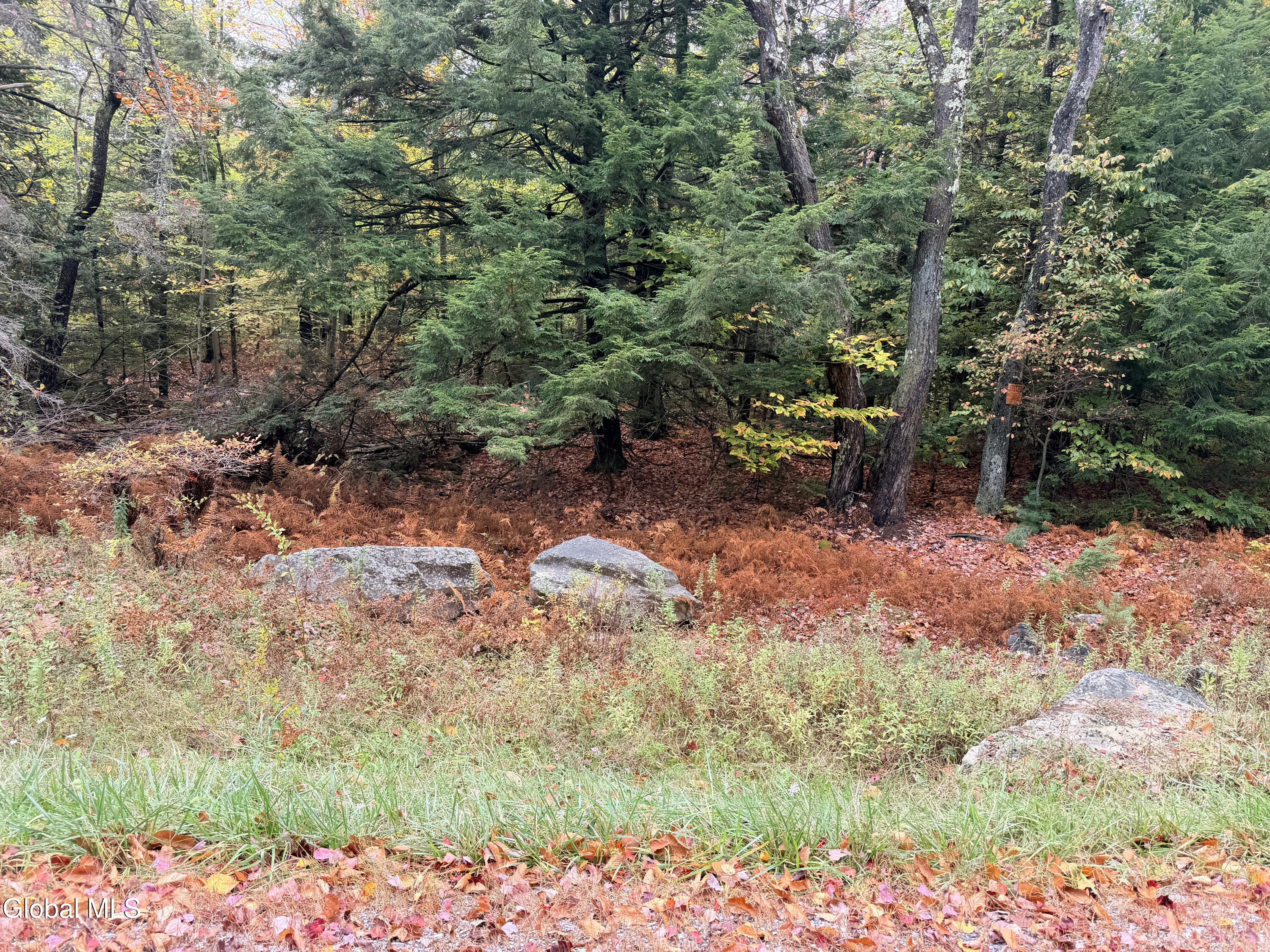 L25.12 Taconic Lake Road Petersburg, NY 12138 - Photo 26 of 60 IMG_0481 2