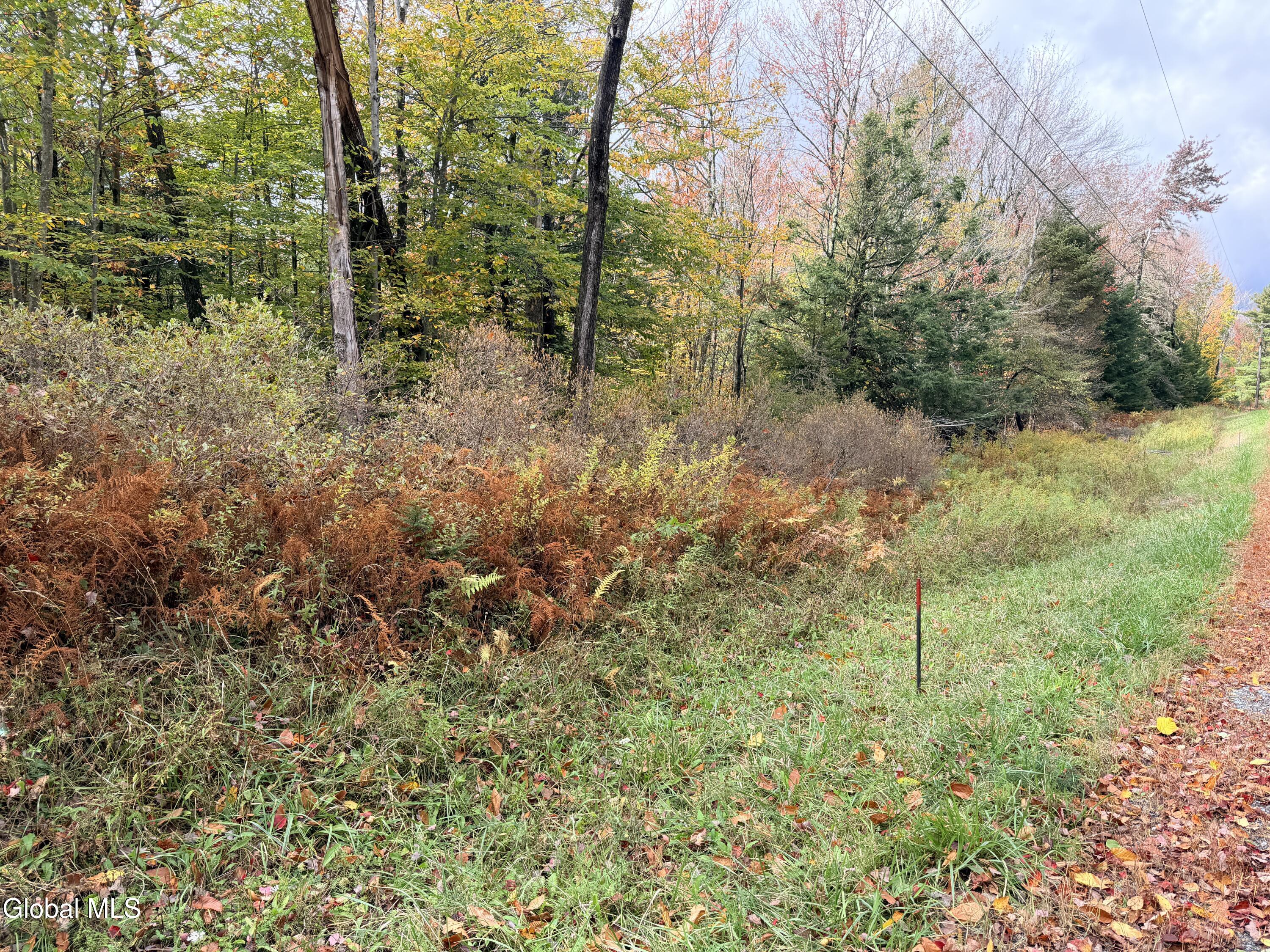 L25.12 Taconic Lake Road Petersburg, NY 12138 - Photo 27 of 60 IMG_0480 2