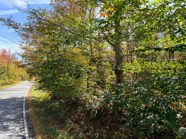 $220,000 | L25.12 Taconic Lake Road, Petersburg, NY 12138