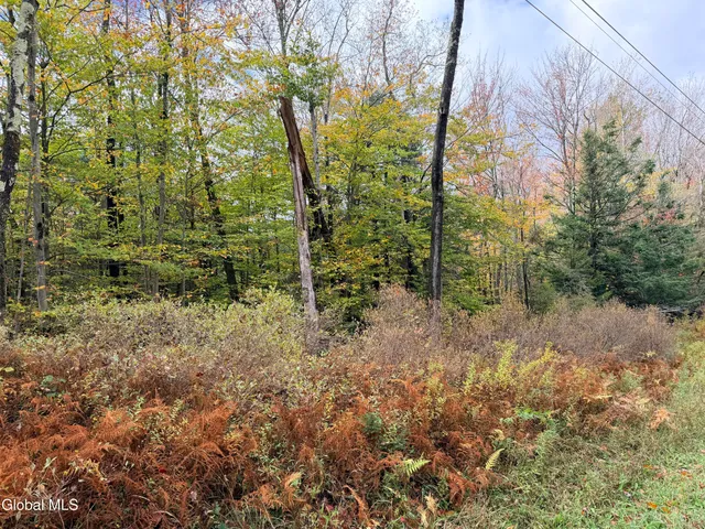 $220,000 | L25.12 Taconic Lake Road, Petersburg, NY 12138