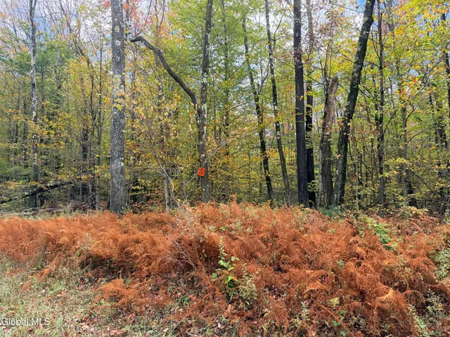 $220,000 | L25.12 Taconic Lake Road, Petersburg, NY 12138