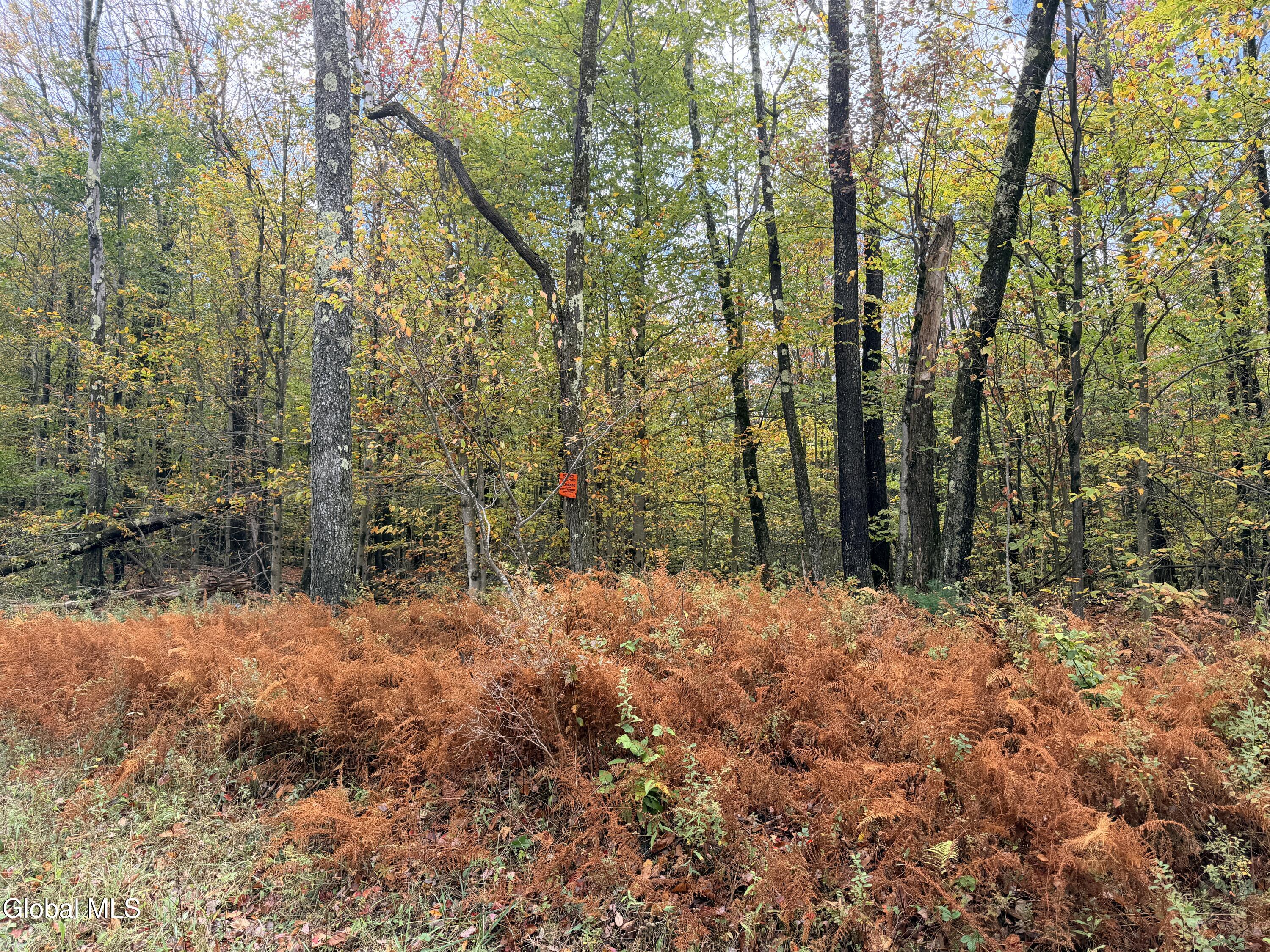 L25.12 Taconic Lake Road Petersburg, NY 12138 - Photo 29 of 60 IMG_0478 2