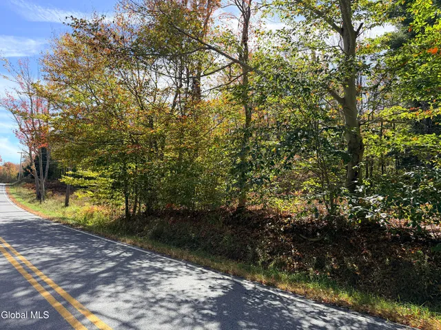 $220,000 | L25.12 Taconic Lake Road, Petersburg, NY 12138