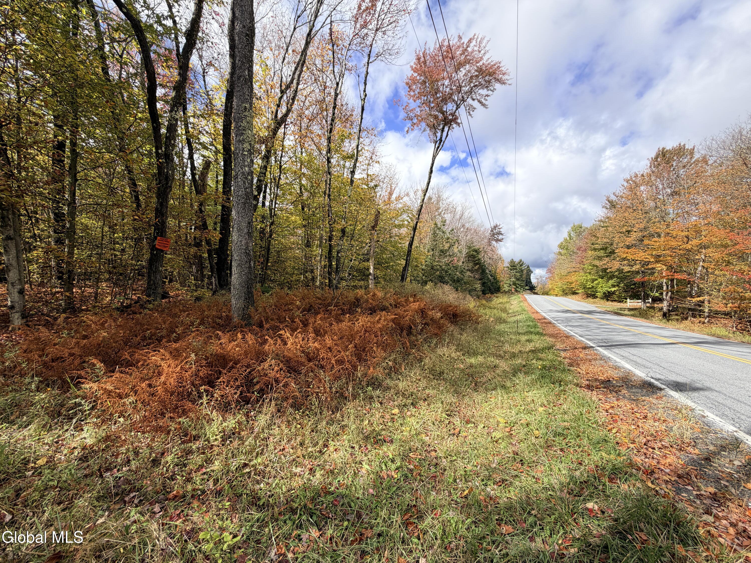 L25.12 Taconic Lake Road Petersburg, NY 12138 - Photo 30 of 60 IMG_0474 2