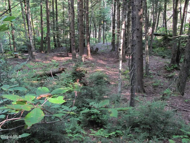 $220,000 | L25.12 Taconic Lake Road, Petersburg, NY 12138