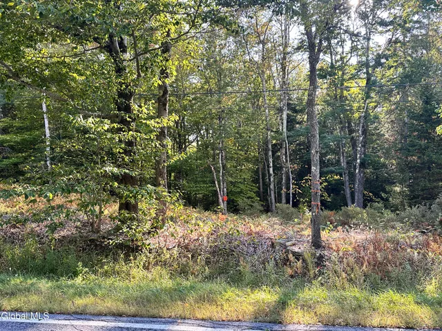 $220,000 | L25.12 Taconic Lake Road, Petersburg, NY 12138