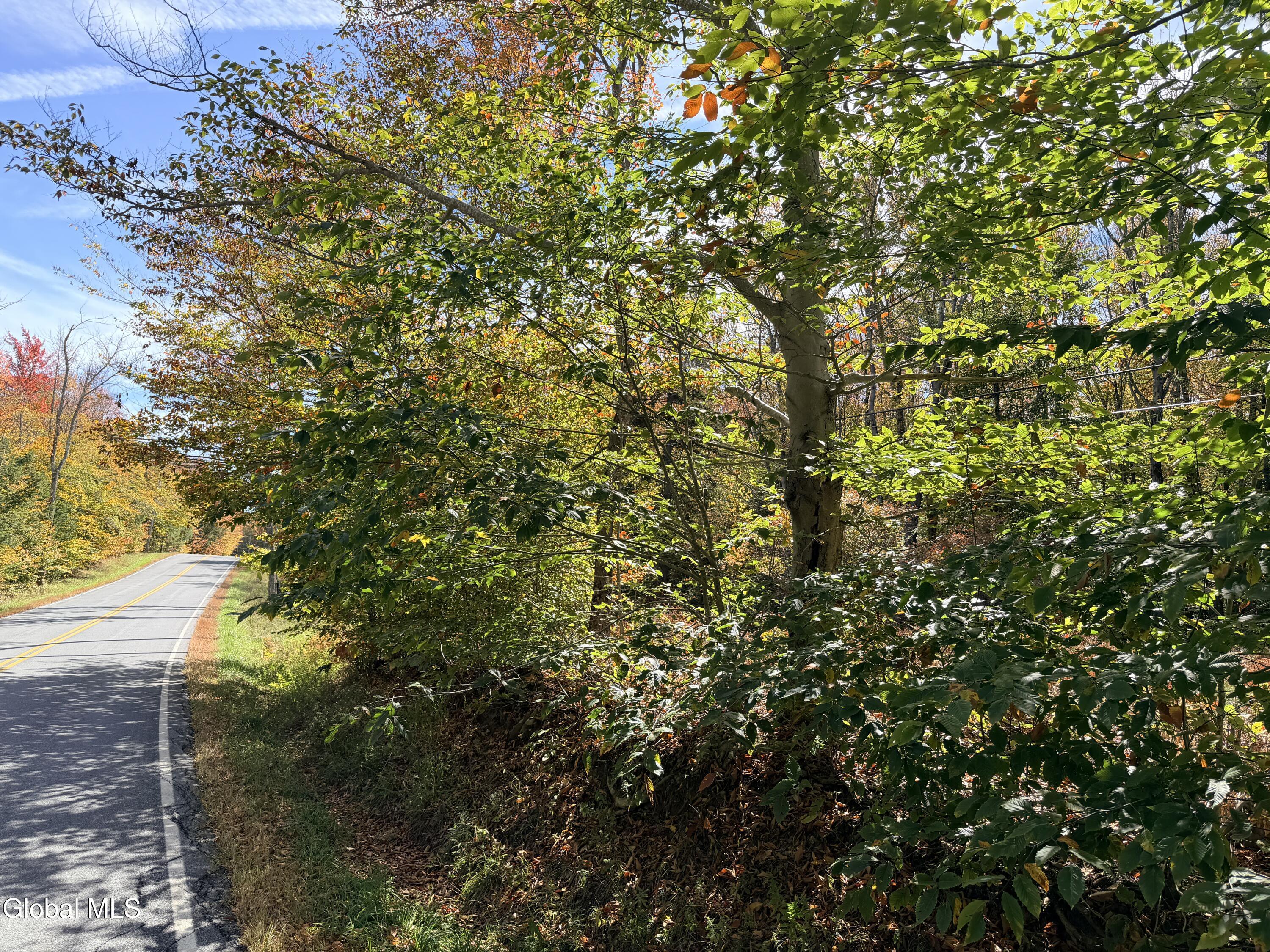 L25.12 Taconic Lake Road Petersburg, NY 12138 - Photo 32 of 60 IMG_0173