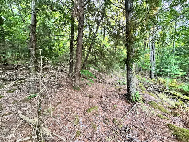 $220,000 | L25.12 Taconic Lake Road, Petersburg, NY 12138