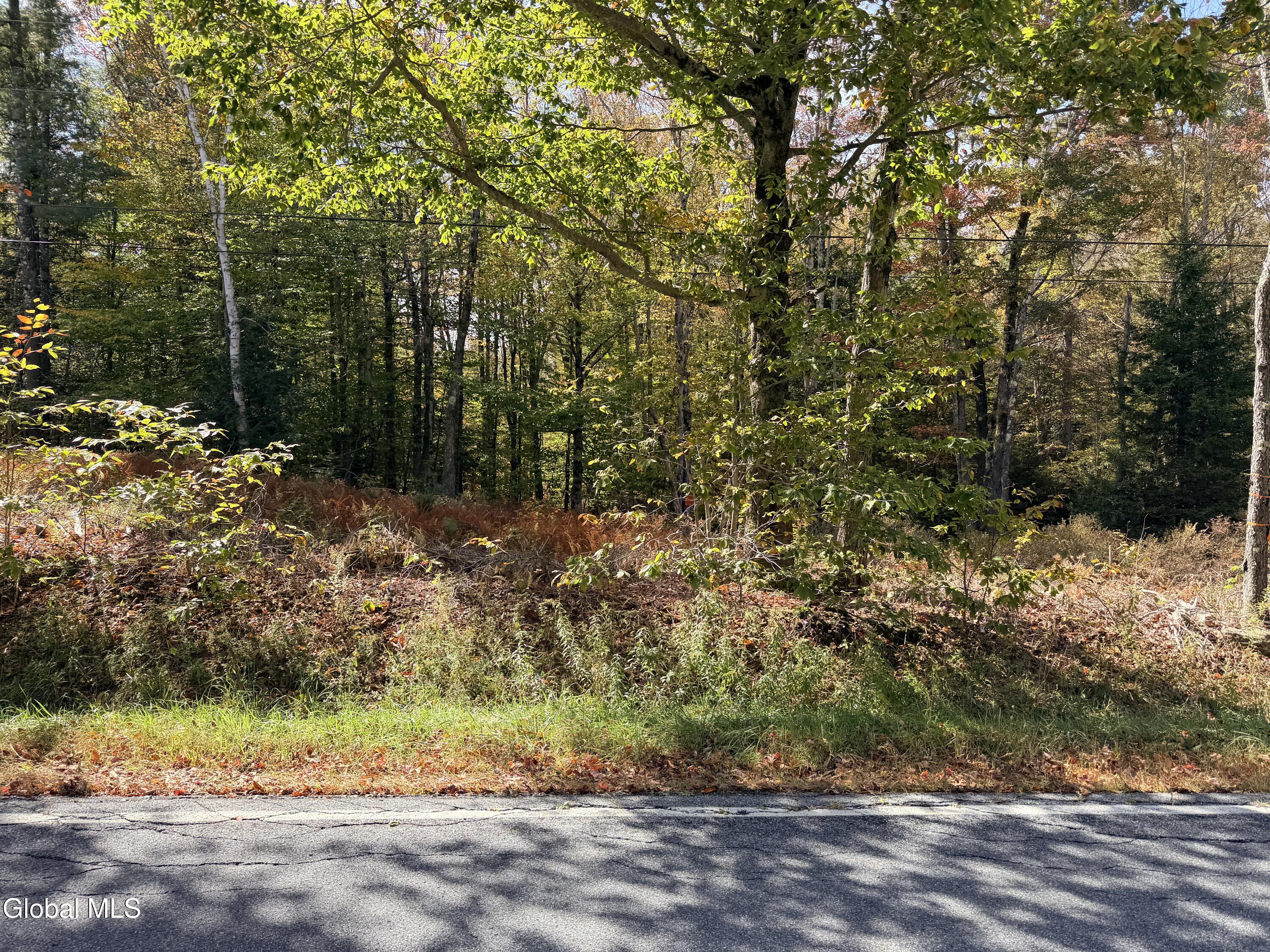 L25.12 Taconic Lake Road Petersburg, NY 12138 - Photo 33 of 60 IMG_0170