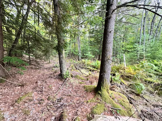 $220,000 | L25.12 Taconic Lake Road, Petersburg, NY 12138