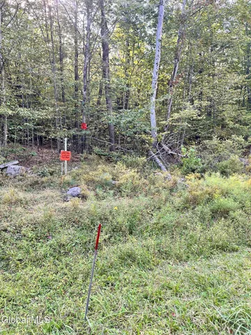 $220,000 | L25.12 Taconic Lake Road, Petersburg, NY 12138