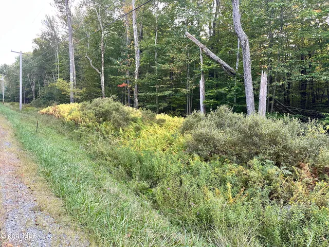 $220,000 | L25.12 Taconic Lake Road, Petersburg, NY 12138