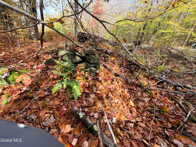 $220,000 | L25.12 Taconic Lake Road, Petersburg, NY 12138