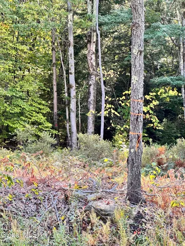 $220,000 | L25.12 Taconic Lake Road, Petersburg, NY 12138