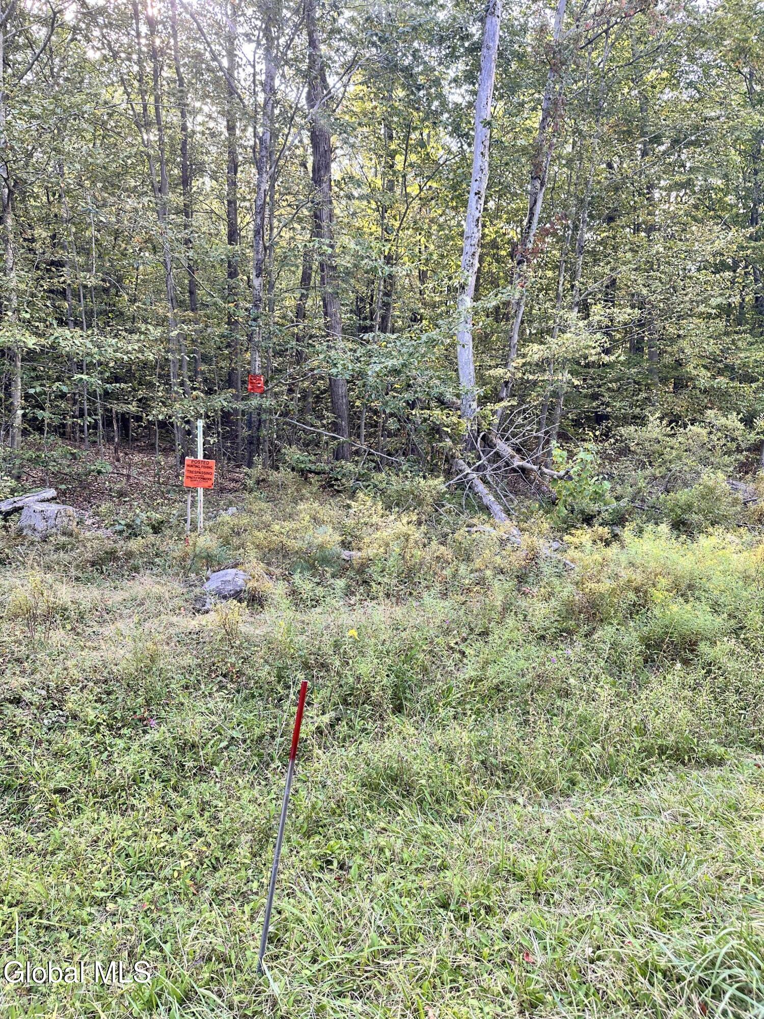 L25.12 Taconic Lake Road Petersburg, NY 12138 - Photo 39 of 60 IMG_1107