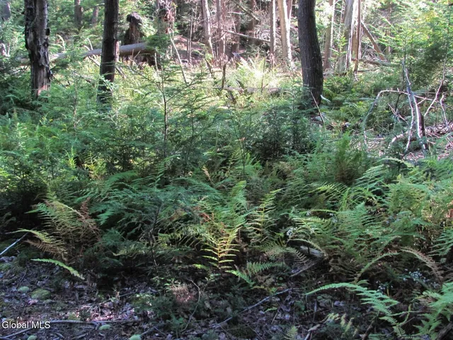 $220,000 | L25.12 Taconic Lake Road, Petersburg, NY 12138