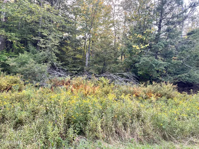 $220,000 | L25.12 Taconic Lake Road, Petersburg, NY 12138