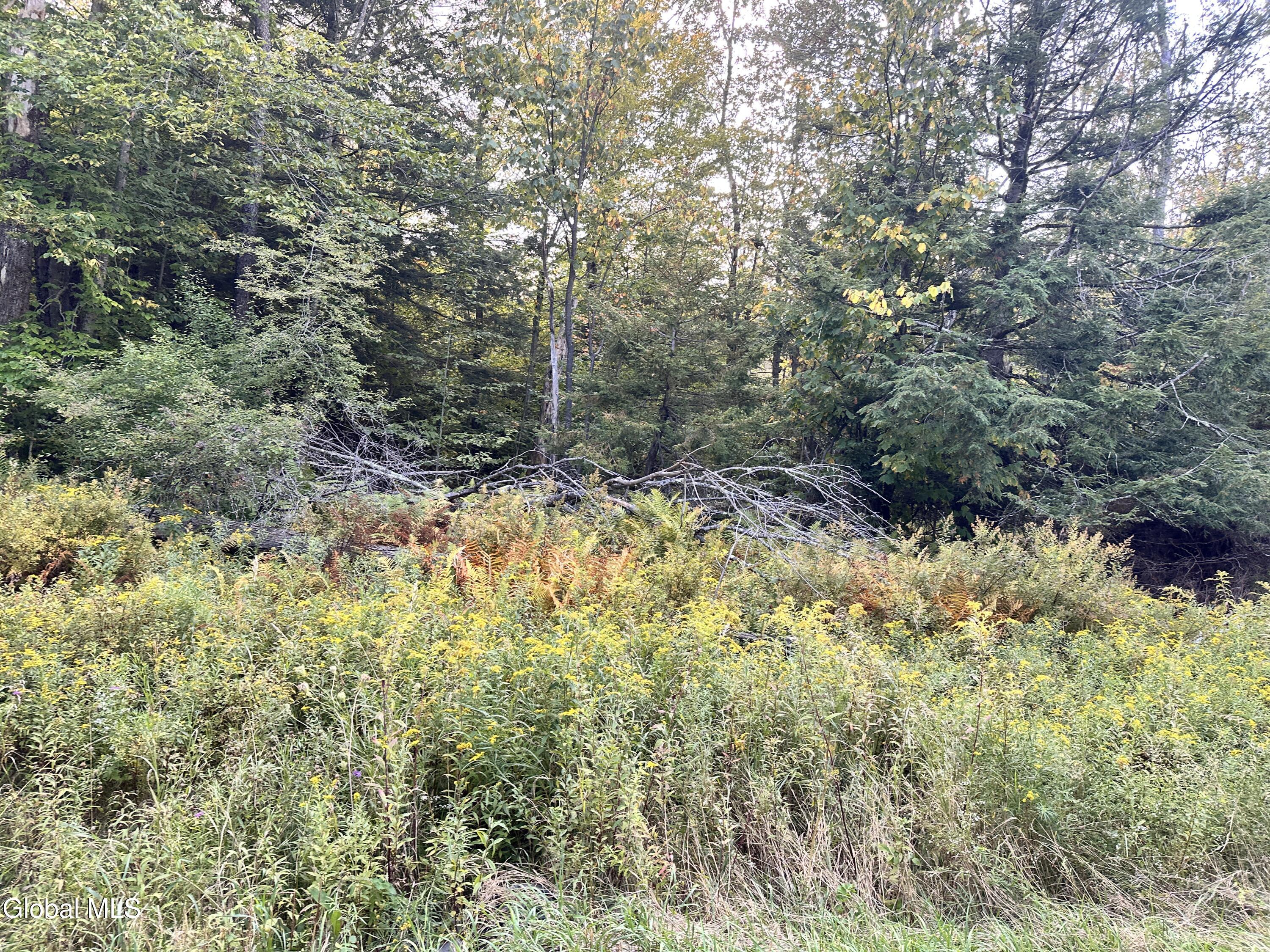 L25.12 Taconic Lake Road Petersburg, NY 12138 - Photo 41 of 60 IMG_1105