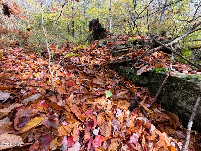 $220,000 | L25.12 Taconic Lake Road, Petersburg, NY 12138