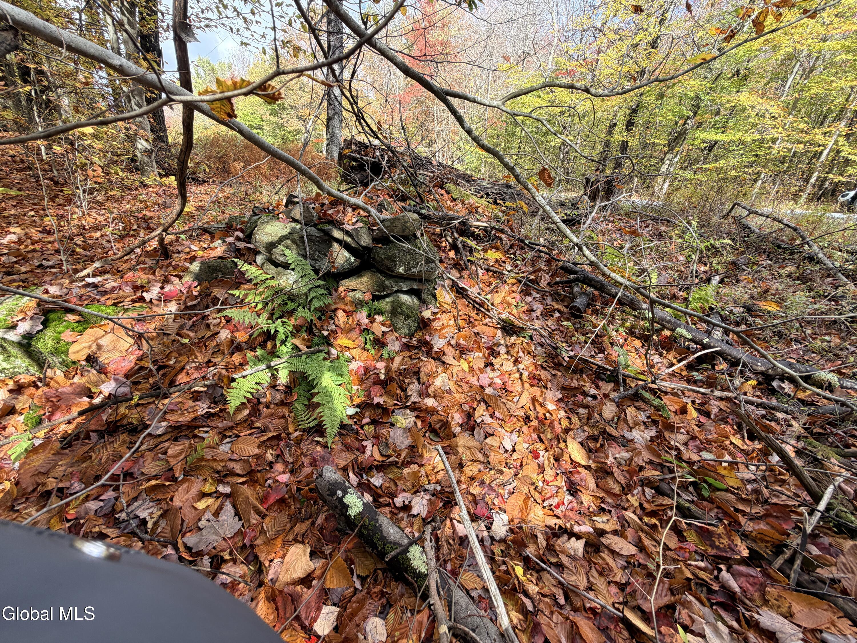 L25.12 Taconic Lake Road Petersburg, NY 12138 - Photo 42 of 60 IMG_0470