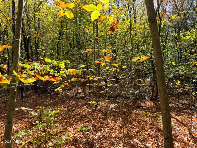 $220,000 | L25.12 Taconic Lake Road, Petersburg, NY 12138