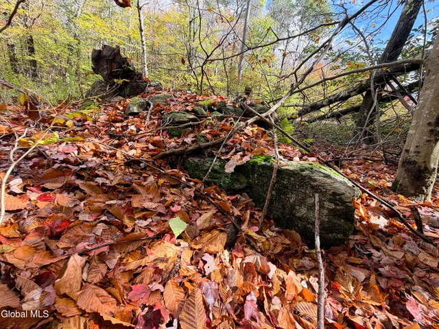 $220,000 | L25.12 Taconic Lake Road, Petersburg, NY 12138