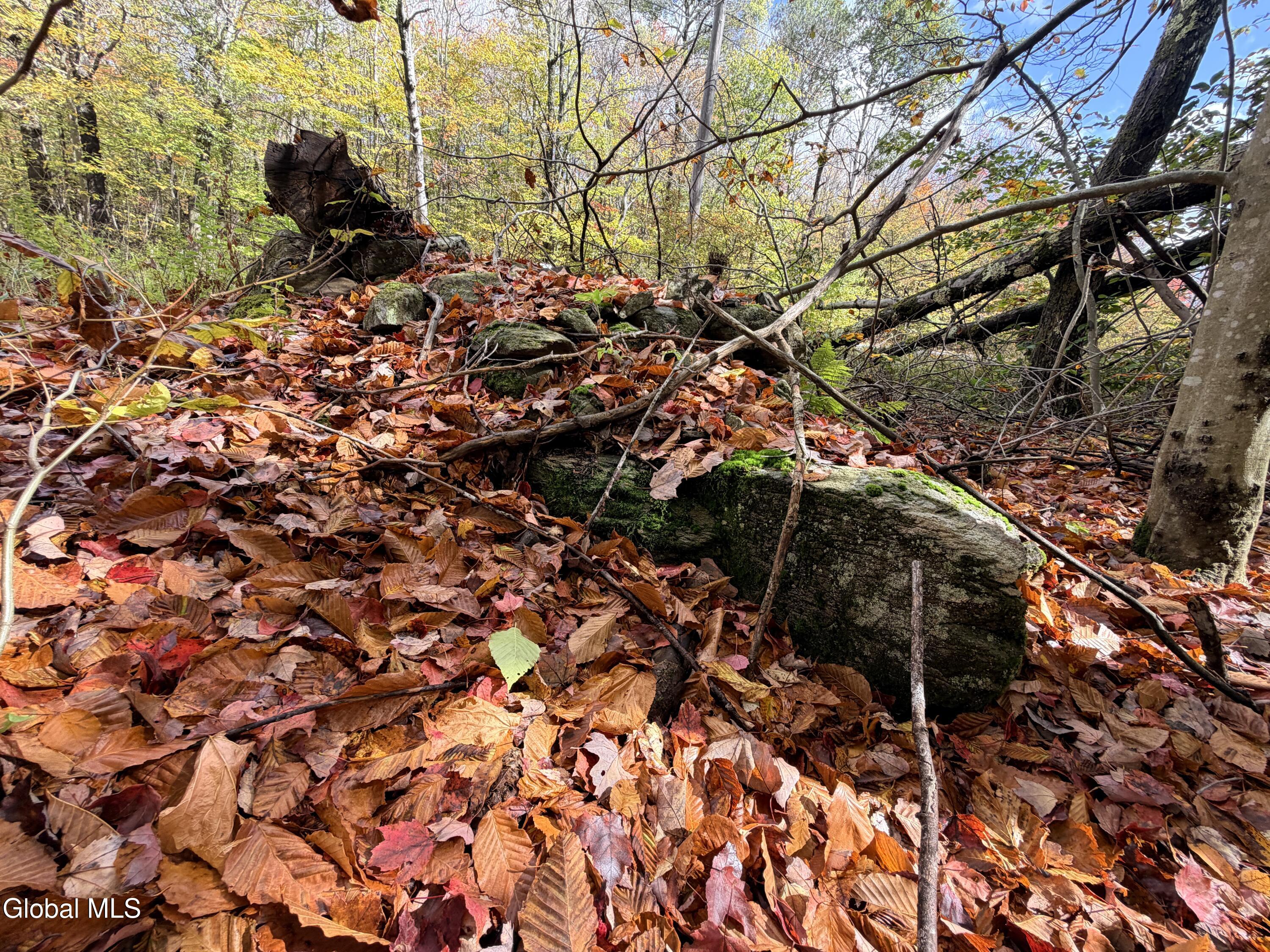 L25.12 Taconic Lake Road Petersburg, NY 12138 - Photo 44 of 60 IMG_0469