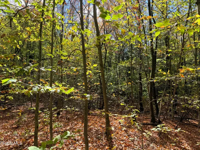 $220,000 | L25.12 Taconic Lake Road, Petersburg, NY 12138