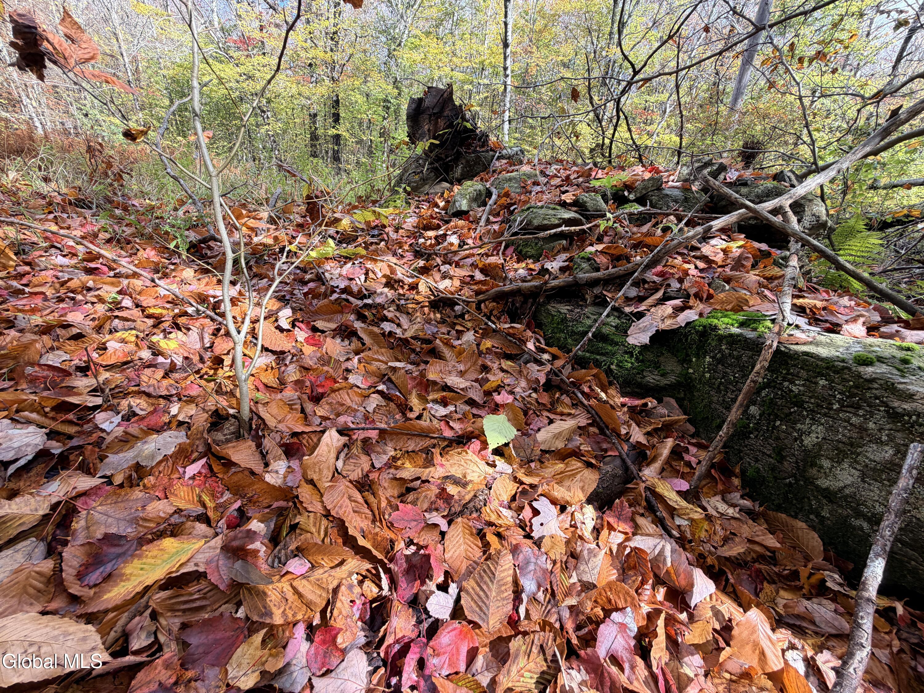 L25.12 Taconic Lake Road Petersburg, NY 12138 - Photo 45 of 60 IMG_0468