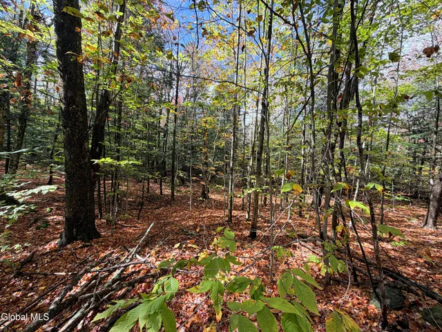 $220,000 | L25.12 Taconic Lake Road, Petersburg, NY 12138