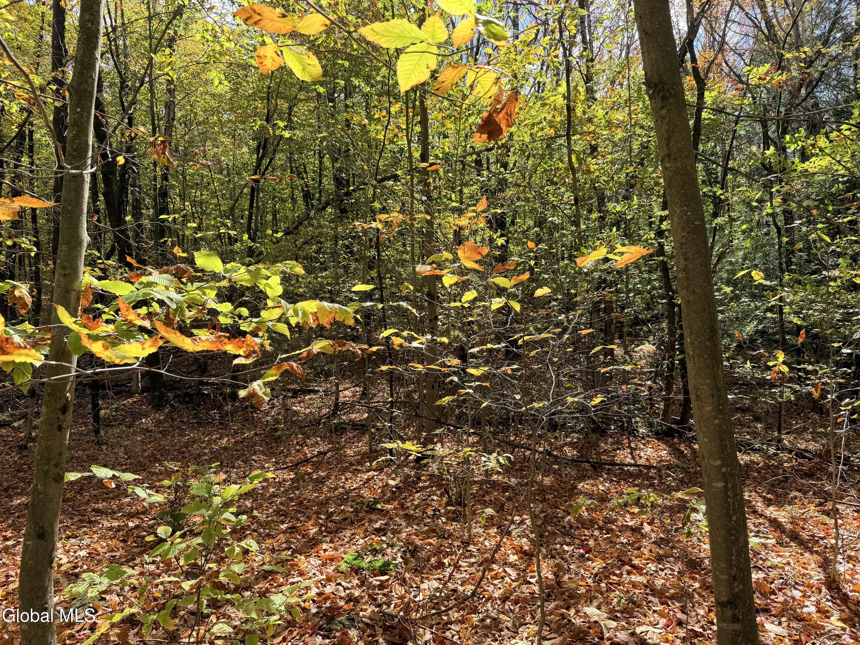 L25.12 Taconic Lake Road Petersburg, NY 12138 - Photo 47 of 60 IMG_0464 2