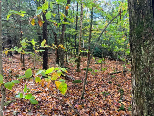 $220,000 | L25.12 Taconic Lake Road, Petersburg, NY 12138