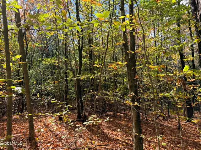 $220,000 | L25.12 Taconic Lake Road, Petersburg, NY 12138