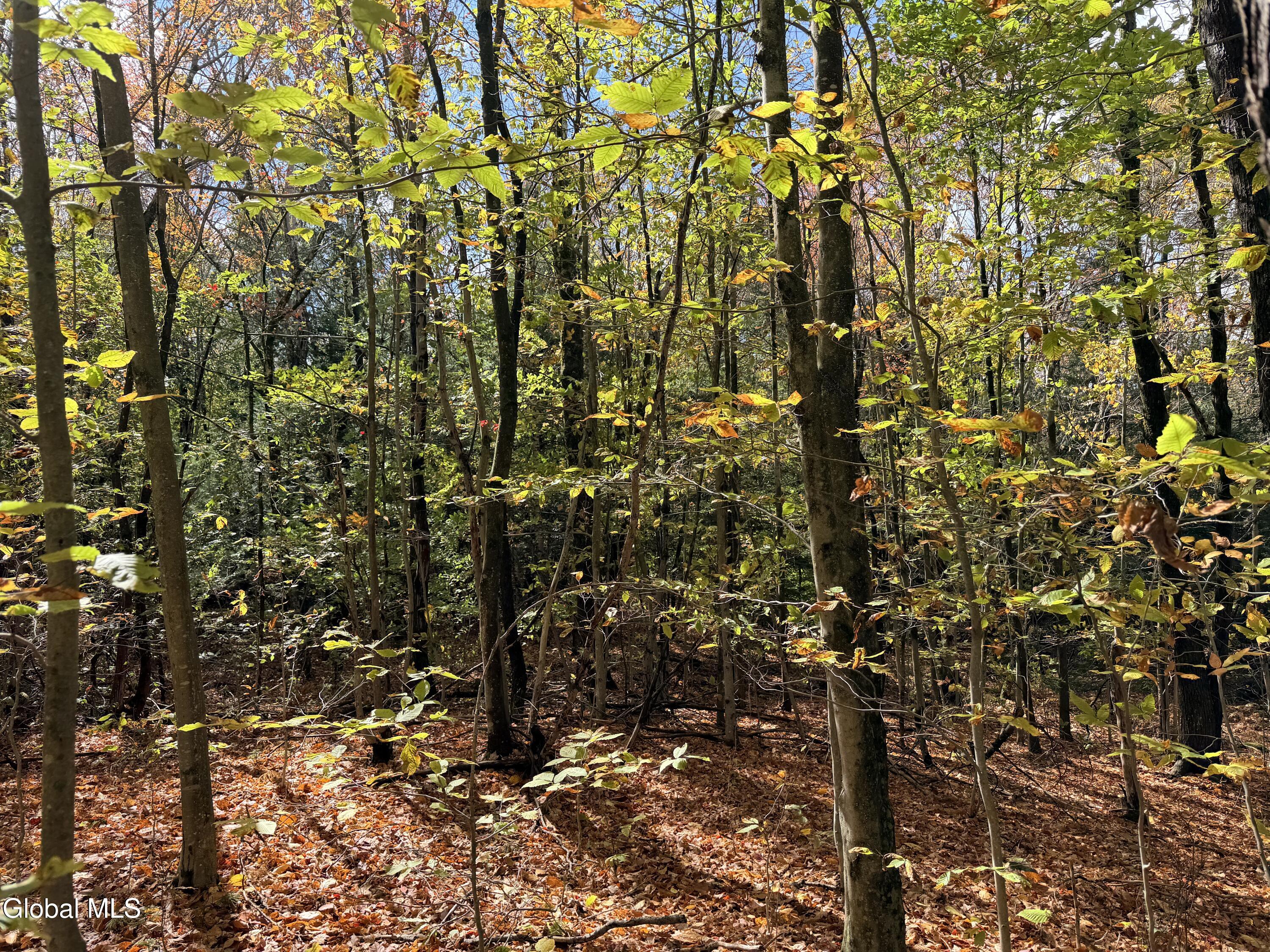 L25.12 Taconic Lake Road Petersburg, NY 12138 - Photo 48 of 60 IMG_0463 2