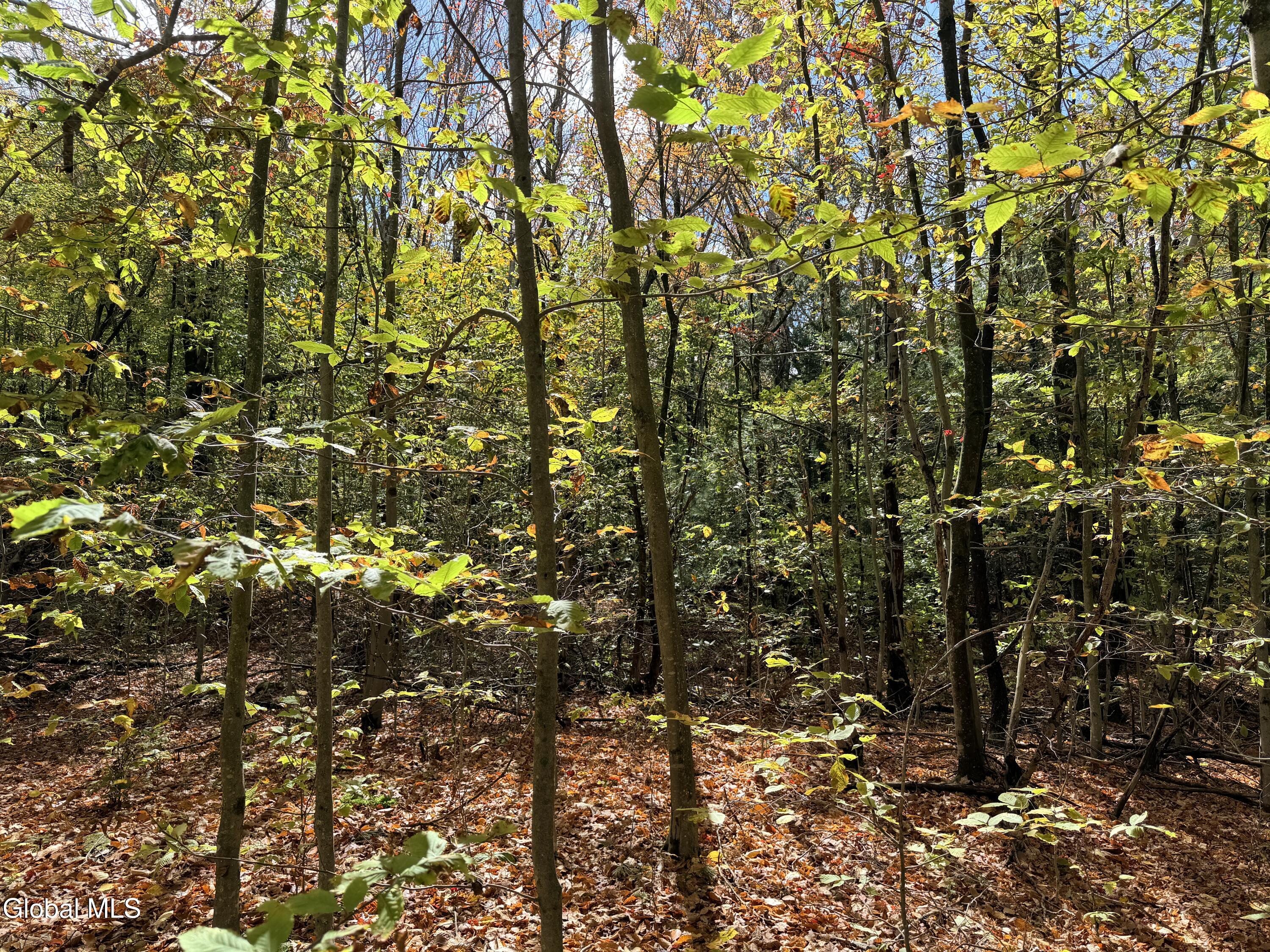 L25.12 Taconic Lake Road Petersburg, NY 12138 - Photo 49 of 60 IMG_0462