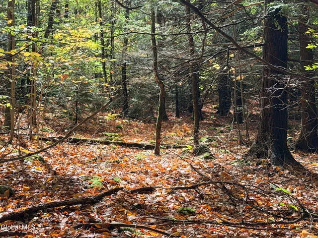 $220,000 | L25.12 Taconic Lake Road, Petersburg, NY 12138