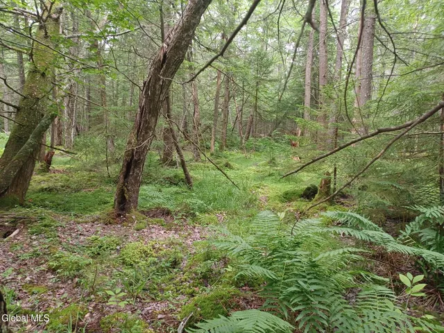 $220,000 | L25.12 Taconic Lake Road, Petersburg, NY 12138