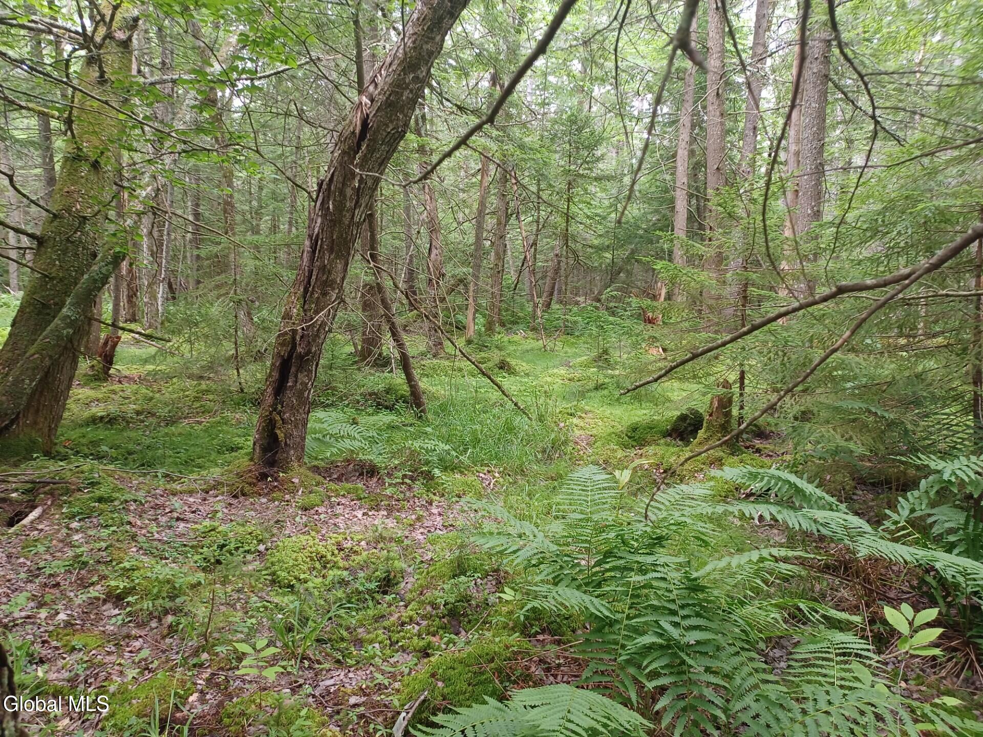 L25.12 Taconic Lake Road Petersburg, NY 12138 - Photo 5 of 60 4