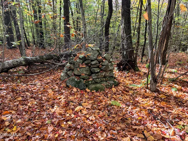 $220,000 | L25.12 Taconic Lake Road, Petersburg, NY 12138