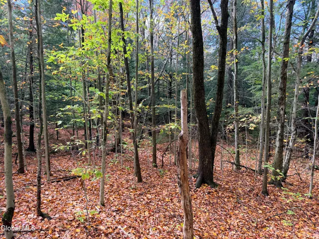 $220,000 | L25.12 Taconic Lake Road, Petersburg, NY 12138