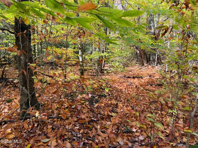 $220,000 | L25.12 Taconic Lake Road, Petersburg, NY 12138