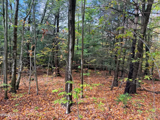 $220,000 | L25.12 Taconic Lake Road, Petersburg, NY 12138