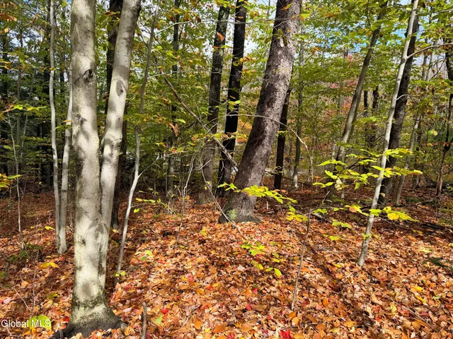 $220,000 | L25.12 Taconic Lake Road, Petersburg, NY 12138