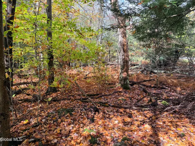 $220,000 | L25.12 Taconic Lake Road, Petersburg, NY 12138