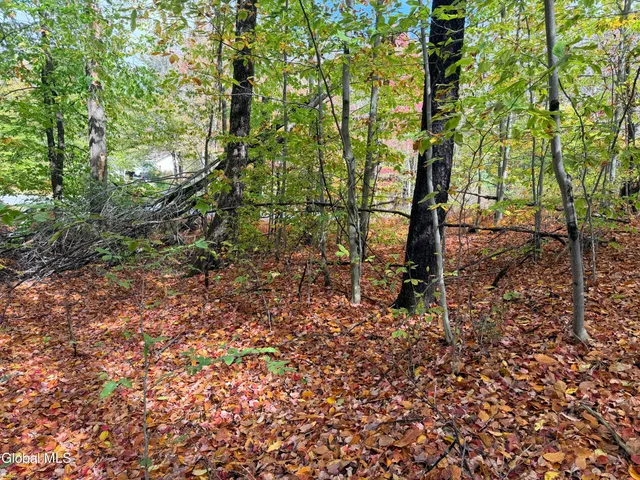 $220,000 | L25.12 Taconic Lake Road, Petersburg, NY 12138