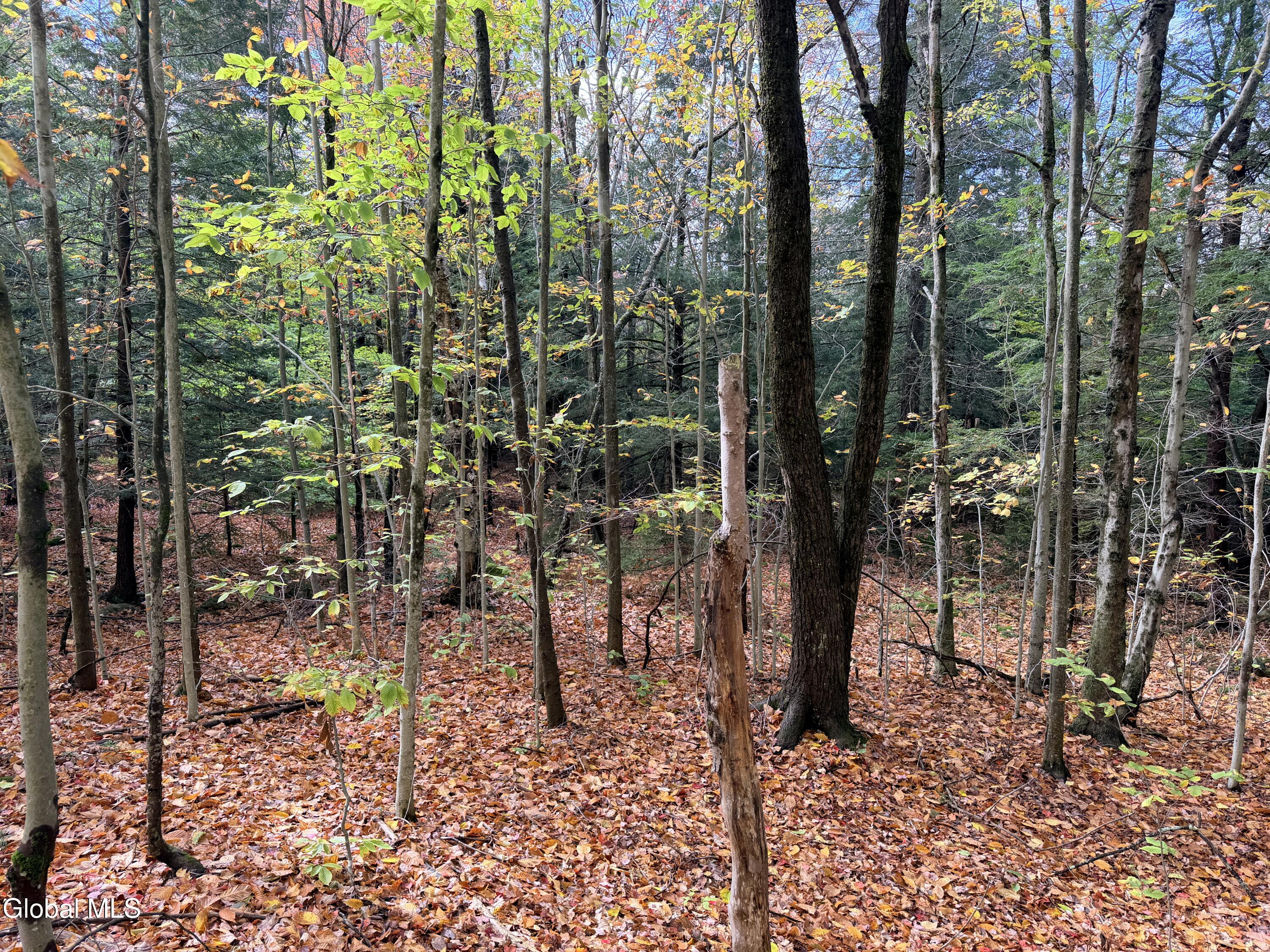 L25.12 Taconic Lake Road Petersburg, NY 12138 - Photo 55 of 60 IMG_0456 4