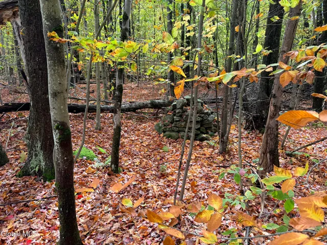 $220,000 | L25.12 Taconic Lake Road, Petersburg, NY 12138