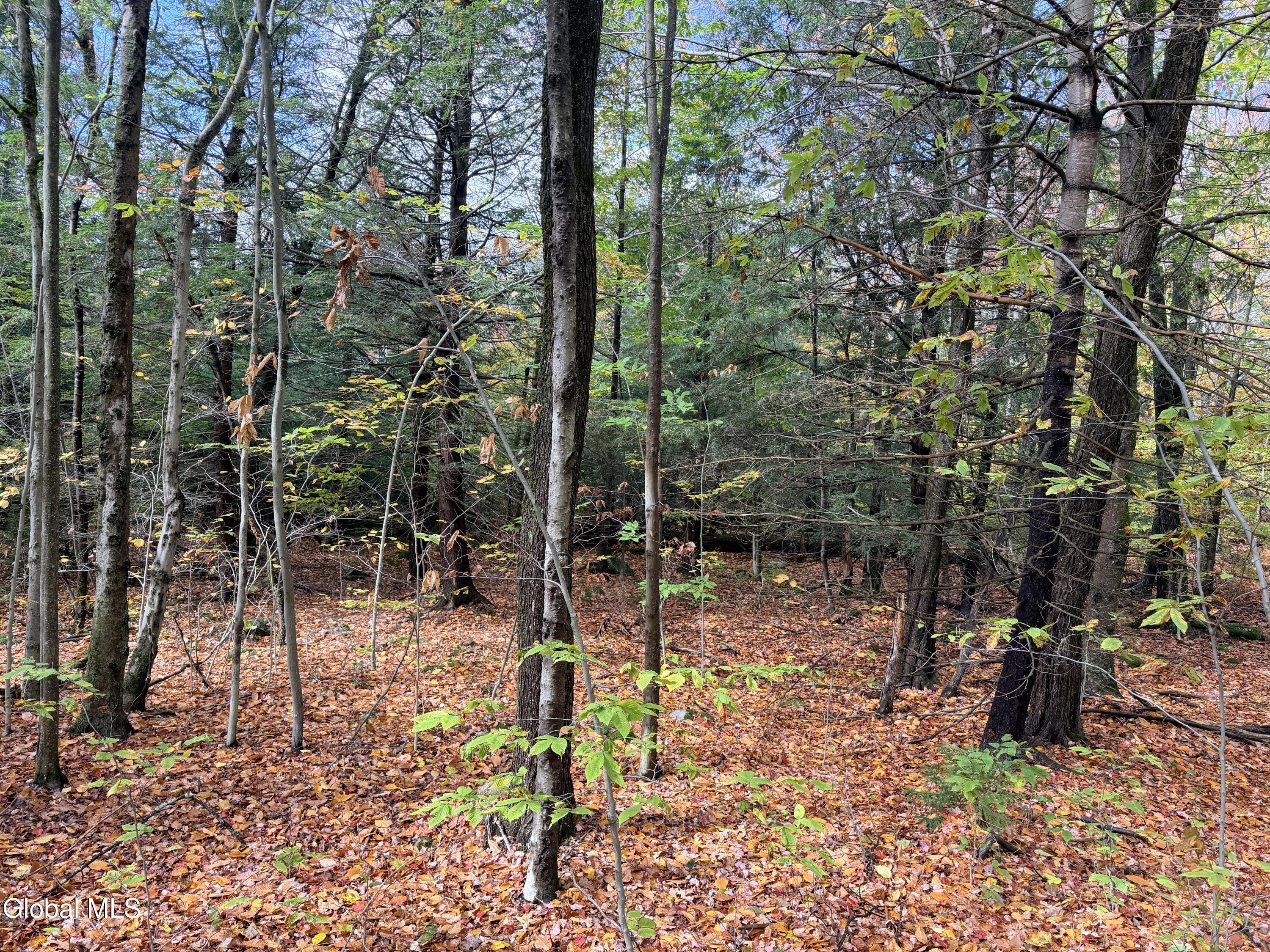 L25.12 Taconic Lake Road Petersburg, NY 12138 - Photo 56 of 60 IMG_0455 4